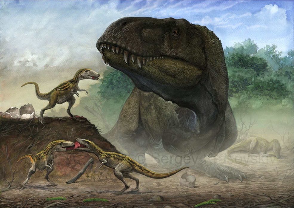 Resultado de imagen para zhuchengtyrannus