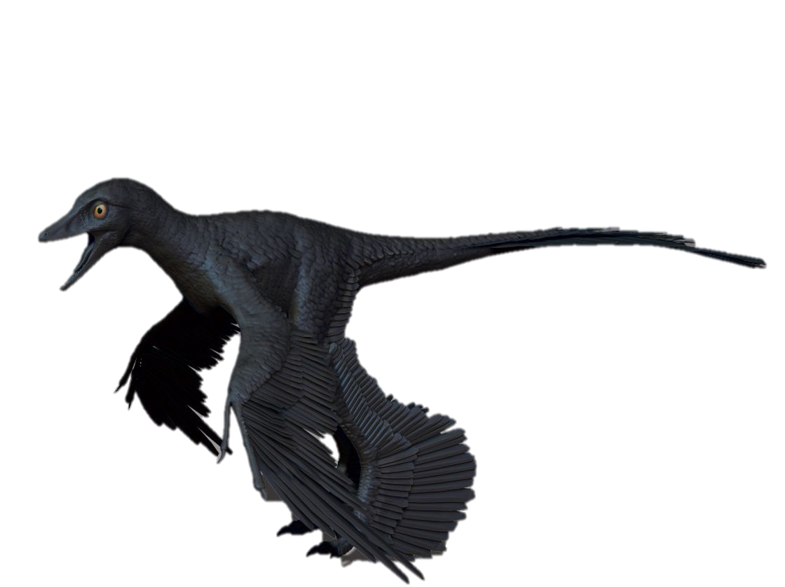 microraptor planet dinosaur