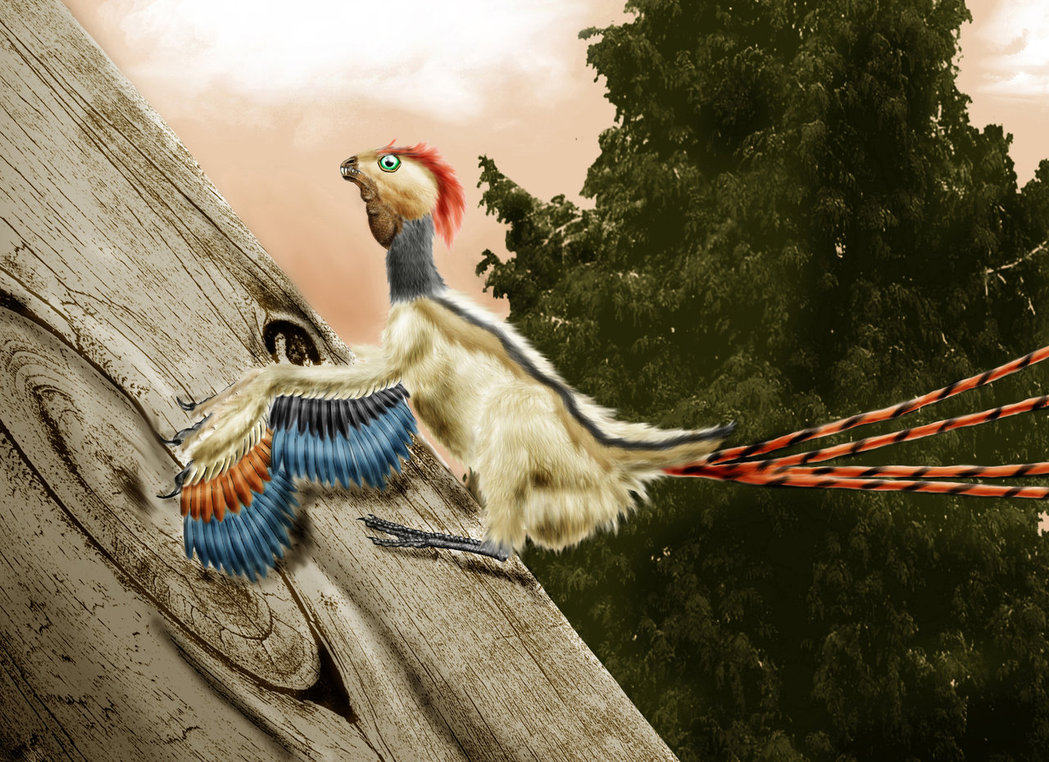 epidexipteryx