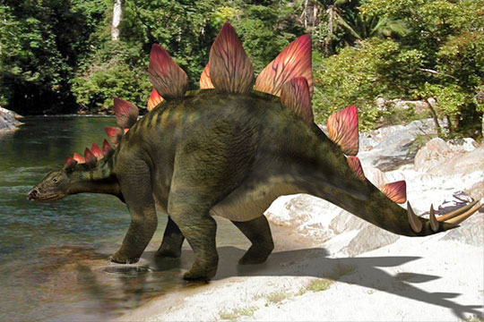 Image result for STEGOSAURUS