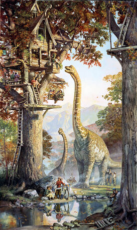 Morning in treetown