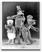 Goofy Costumes Through the Years - Disney Wiki - Wikia