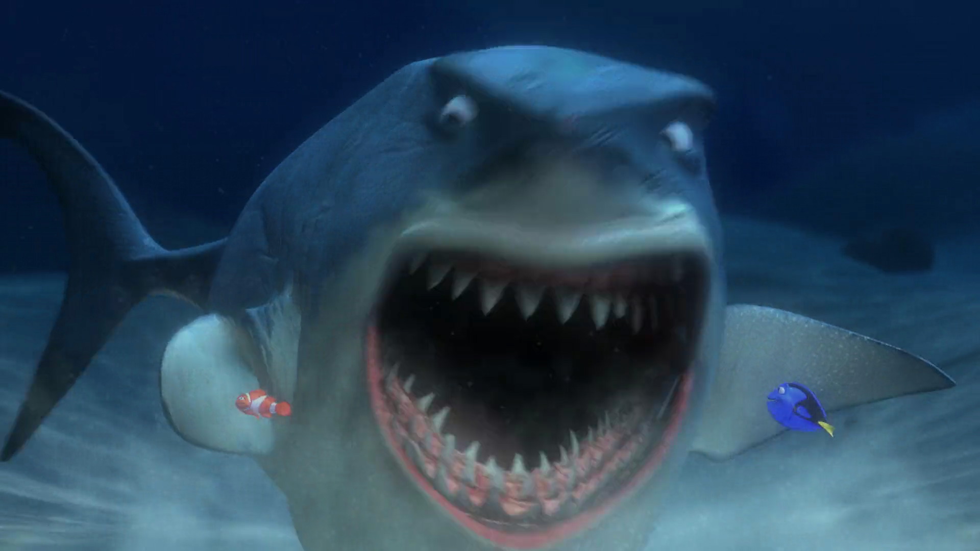 finding nemo fish scar finding nemo fish scar