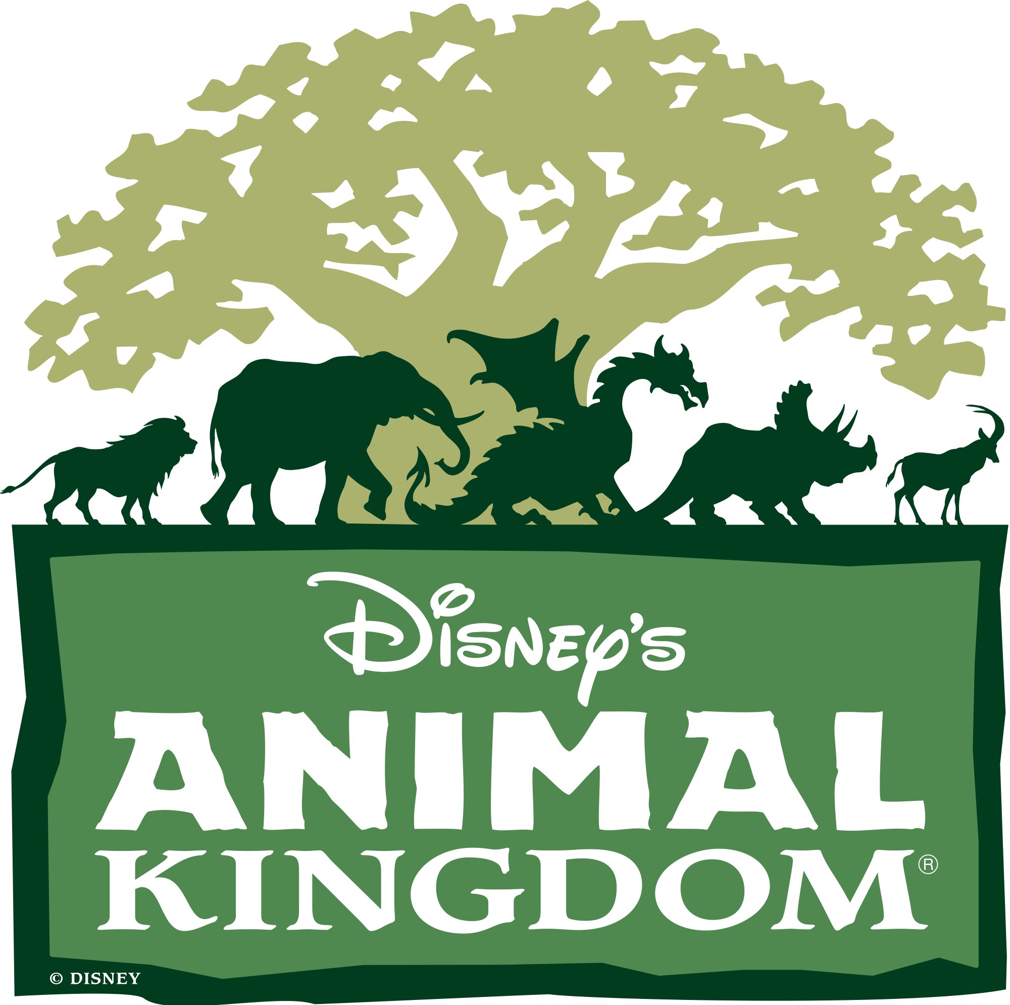 It is important to not destroy biodiversity because lots of animals depend on it. (Khristian)