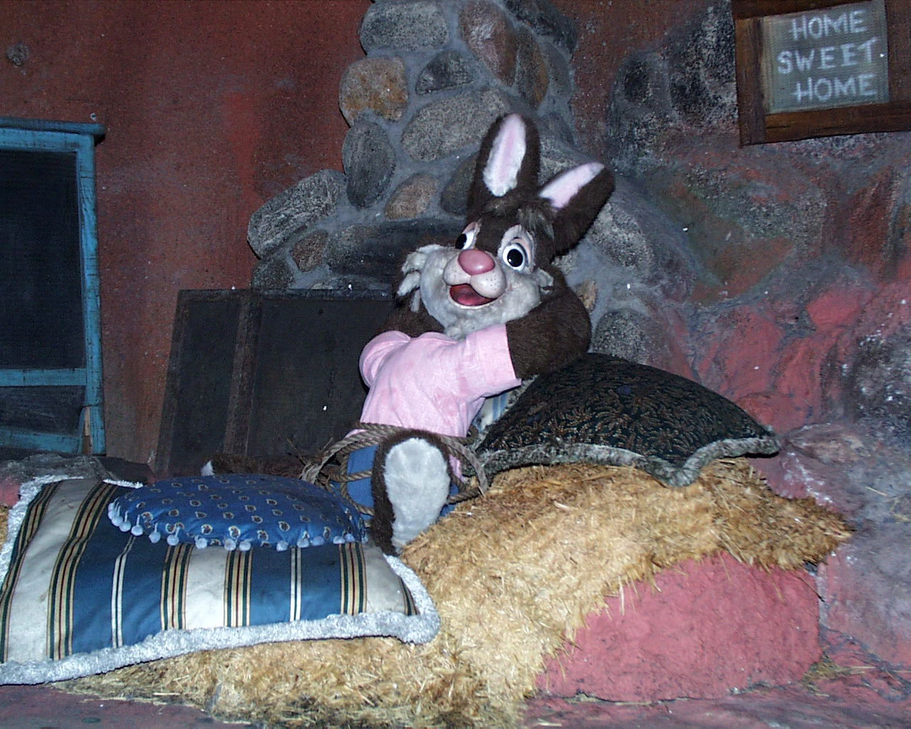 Image Brer rabbit splash.jpg Disney Wiki Fandom powered by Wikia