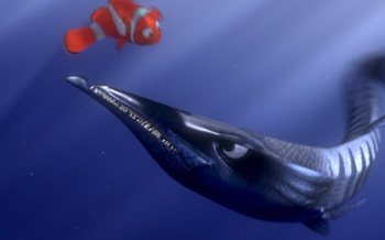 finding nemo fish scar finding nemo fish scar