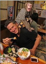 Bob bulmer.jpg