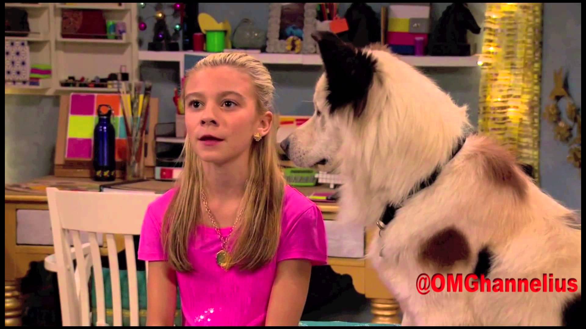 Dog With A Blog Cast Mason Real Name Dog With A Blog Cast Mason Real Name