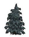 Một sần Evergreen.png