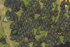 Forest Icon.png