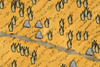Savanna Icon.png