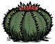 Cactus.png