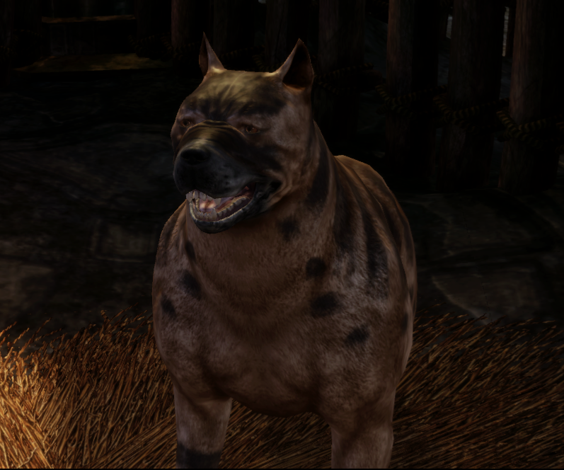 Image result for mabari dragon age