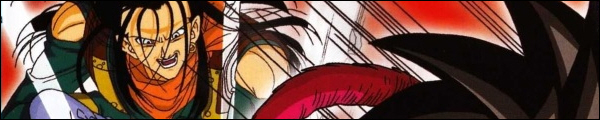 Saga de Super-17