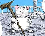 Korin appears