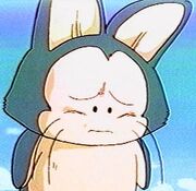 Puar