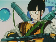 Dbz107-11.jpg
