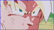 Funi season goku lines gone