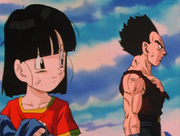 Vegeta e Pan