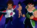 KingVegetaVegetaBardockFlashBackNV
