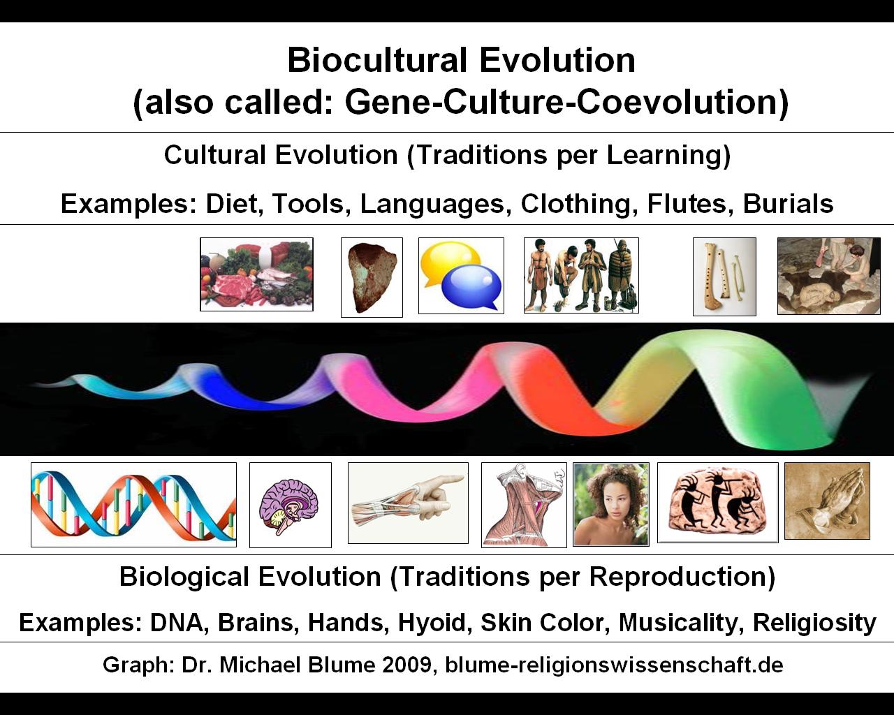 cultural evolution Evolution may take place at many different scales and it may work differently in every one in biology, for instance, mutation and selection take place at the level of genes and organisms but while cultural evolution also occurs at the individual level, the unit of selection behavior. cultural evolution Evolution may take place at many different scales and it may work differently in every one in biology, for instance, mutation and selection take place at the level of genes and organisms but while cultural evolution also occurs at the individual level, the unit of selection behavior.