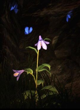 Dragon S Dogma Unusual Beach Dragon S Dogma Unusual Beach