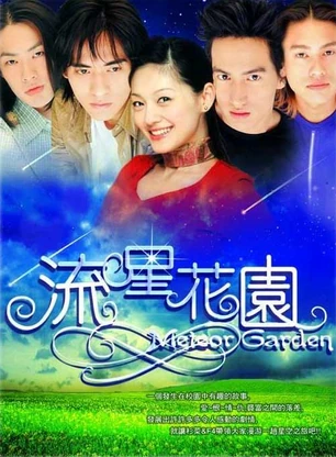 Meteor Garden..jpg