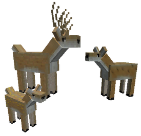 Deer Family - L