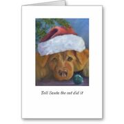 Wikia DARP - Christmas mischief dog