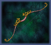 Huang's Bow