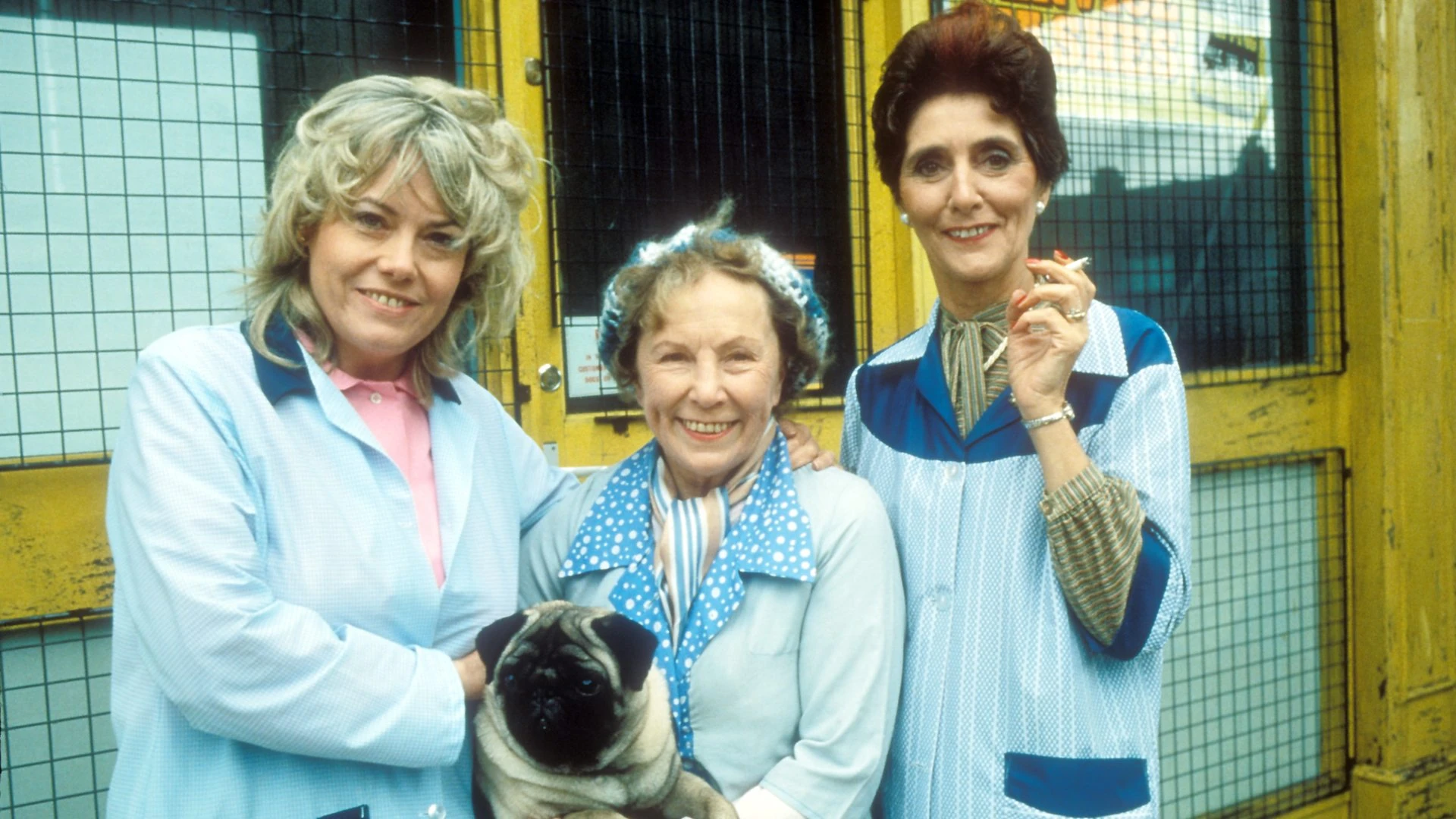 Launderette EastEnders Wiki FANDOM powered by Wikia