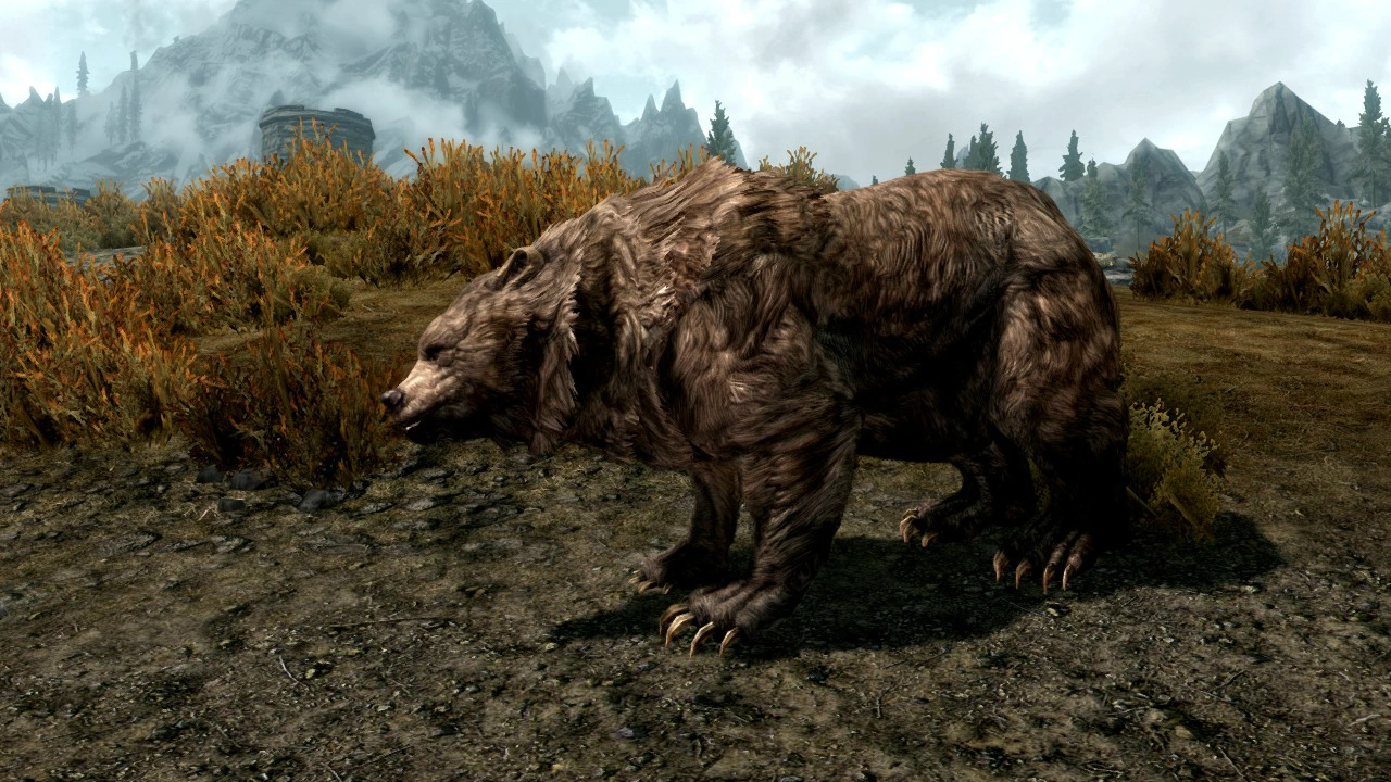 Cave Bear (Skyrim) Elder Scrolls Fandom powered by Wikia