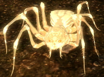 Albino_spider.png