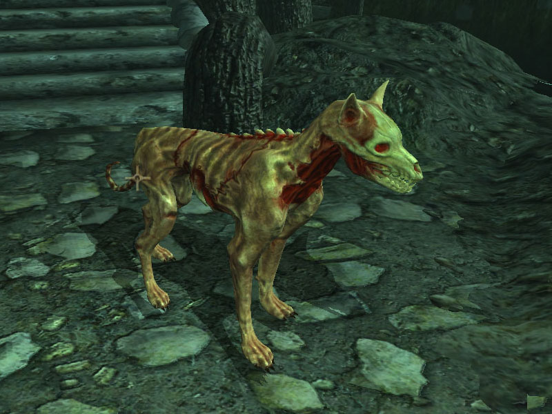 elder scrolls oblivion raining fire dogs elder scrolls oblivion raining fire dogs