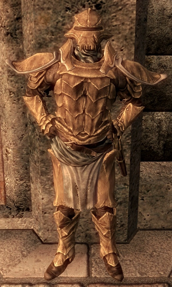 Redoran Guard (Dragonborn) Elder Scrolls Fandom powered by Wikia