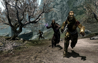 Thalmor Justiciar Attacking