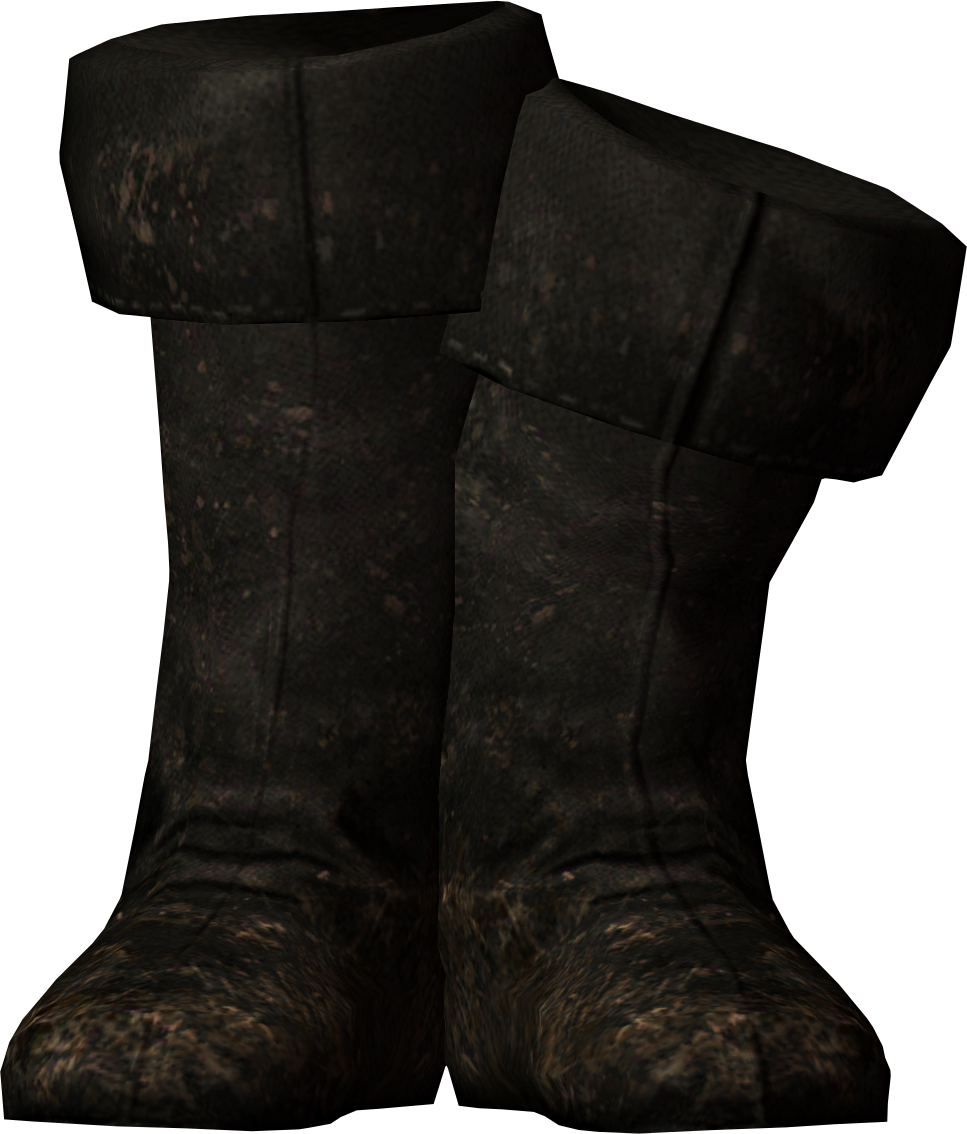 Fine Boots | Elder Scrolls | FANDOM powered by Wikia