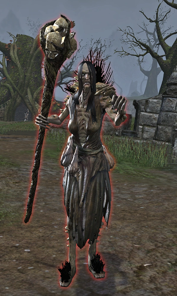 Image Hag Elder Scrolls Fandom powered by Wikia
