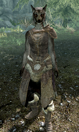 http://vignette2.wikia.nocookie.net/elderscrolls/images/9/9c/Ahjisi.png/revision/latest/scale-to-width-down/270?cb=20121102004914