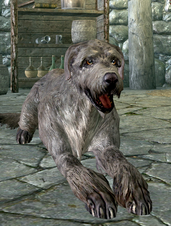 elder scrolls v skyrim special edition mods