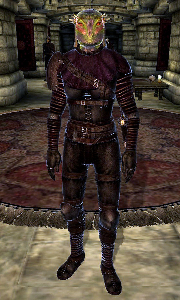 http://vignette2.wikia.nocookie.net/elderscrolls/images/c/c9/Ocheeva.png/revision/latest?cb=20130221232714