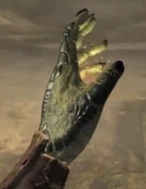 Argonian Hand