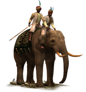 empire total war elephants