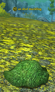 An obol muckling