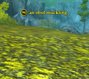 An obol muckling