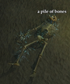 A pile of bones.png