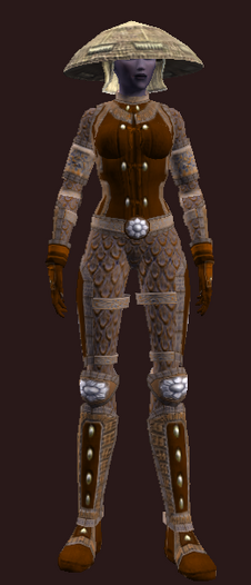 Bodyguard's (Armor Set)