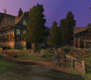 The Willow Wood: Besieged Hamlet