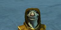 Adjutant Kleek