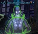 Spectral Librarian Emiida (Shadowed Corridors)